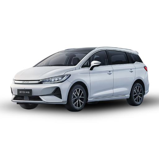 BYD M6